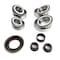 American Axle Gear Kit, Differential, 11.5 In. 14 Bolt-Rear Axle 74067011 - alternate 4